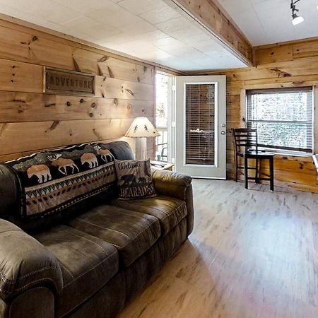 Bearadise Resort ガトリンバーグ エクステリア 写真